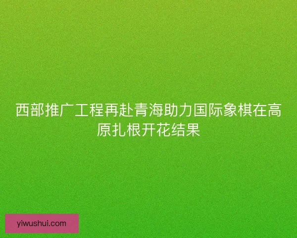 西部推广工程再赴青海助力国际象棋在高原扎根开花结果
