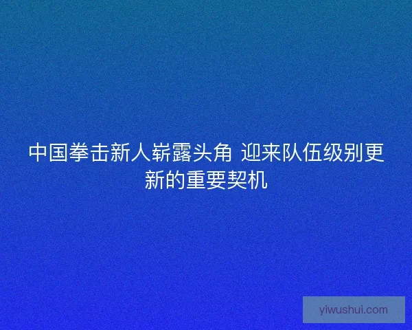 中国拳击新人崭露头角 迎来队伍级别更新的重要契机