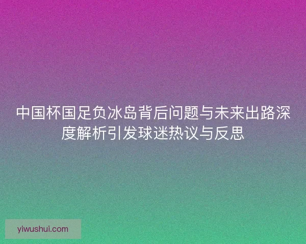 中国杯国足负冰岛背后问题与未来出路深度解析引发球迷热议与反思